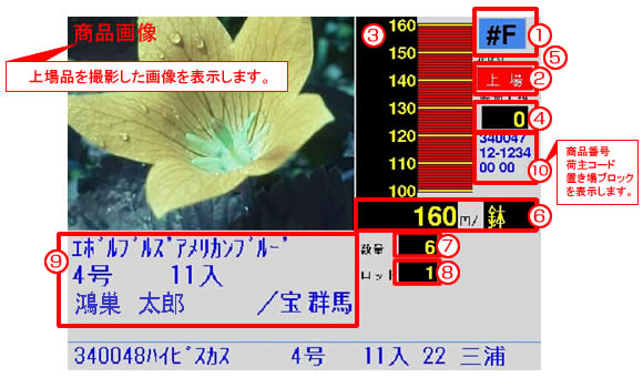 せりスクリーン表示例